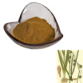 Hot Sale Herbal Plant Rhizoma Sparganii Root Extract powder used to stop pain